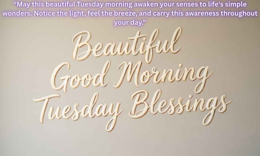 Beautiful Good Morning Tuesday Blessings:
"May this beautiful Tuesday morning awaken your senses to life's simple wonders. Notice the light, feel the breeze, and carry this awareness throughout your day."